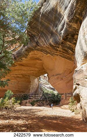 Stock Photo - A male hiker photographs the rock bridge named Kachina in the Natural Bridges National Monument; Utah, United States of America. Fotosearch