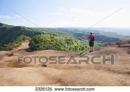 Stock Photography - A male tourist takes in view of the Alakai Swamp; Kauai, Hawaii, United States of America. Fotosearch