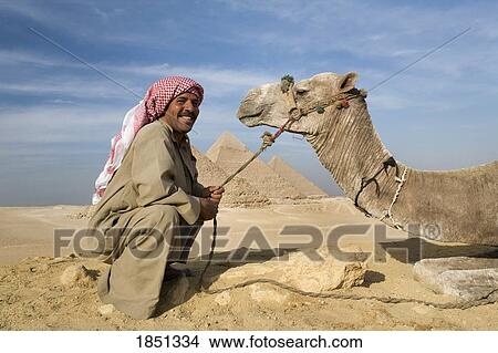 Picture - A Man And Camel With The Pyramids In The Background; Cairo, Egypt, Africa. Fotosearch