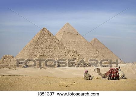 A Man And Camel With The Pyramids In The Background; Cairo, Egypt, Africa View Large Photo Image Stock Photo - A Man And Camel With The Pyramids In The Background; Cairo, Egypt, Africa. Fotosearch