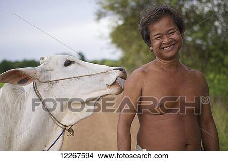 A man and his cow; Battambang, Cambodia View Large Photo Image Picture - A man and his cow; Battambang, Cambodia. Fotosearch