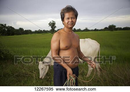 A man and his cow; Battambang, Cambodia View Large Photo Image Stock Photography - A man and his cow; Battambang, Cambodia. Fotosearch