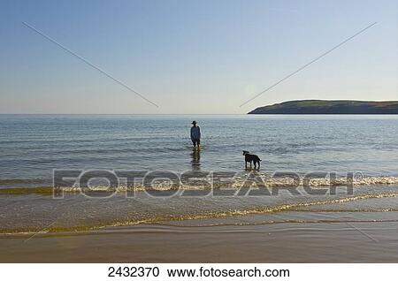 A man and his dog on Aberdaron beach, Lleyn Peninsula; Wales View Large Photo Image Stock Image - A man and his dog on Aberdaron beach, Lleyn Peninsula; Wales. Fotosearch