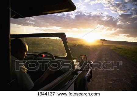 Stock Photo - A Man Drives A Vehicle Down A Dirt Road At Sunset; Kenya Africa. Fotosearch