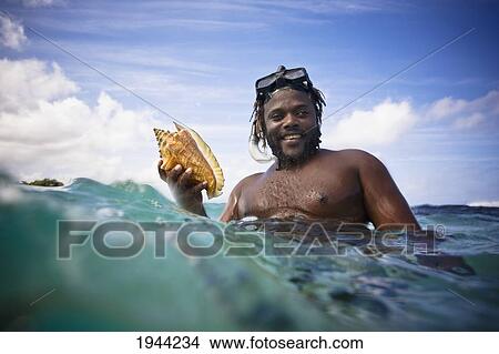 A Man Holds A Large Conch Shell In The Ocean; Runaway Bay Jamaica View Large Photo Image Picture - A Man Holds A Large Conch Shell In The Ocean; Runaway Bay Jamaica. Fotosearch