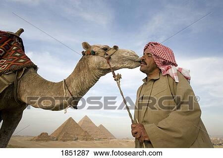 A Man In The Desert With A Camel And The Pyramids In The Background; Cairo, Egypt, Africa View Large Photo Image Stock Photo - A Man In The Desert With A Camel And The Pyramids In The Background; Cairo, Egypt, Africa. Fotosearch