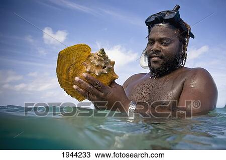 A Man Looks At A Large Conch Shell In The Ocean; Runaway Bay Jamaica View Large Photo Image Stock Image - A Man Looks At A Large Conch Shell In The Ocean; Runaway Bay Jamaica. Fotosearch