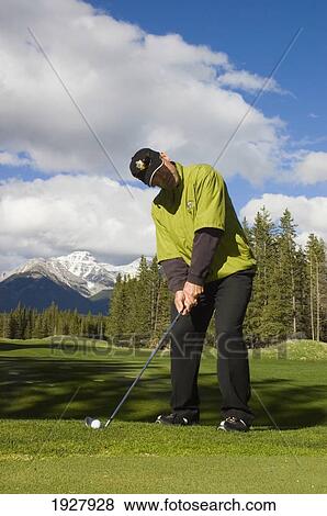 A Man Playing Golf At Banff Springs Hotel Golf Course, Banff National Park Alberta Canada View Large Photo Image Stock Photo - A Man Playing Golf At Banff Springs Hotel Golf Course, Banff National Park Alberta Canada. Fotosearch