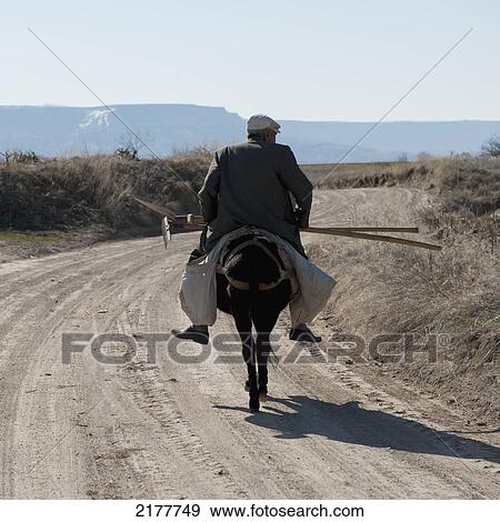 A Man Rides His Horse Down A Dirt Road Carrying Gardening Tools; Ortahisar Nevsehir Turkey View Large Photo Image Stock Photo - A Man Rides His Horse Down A Dirt Road Carrying Gardening Tools; Ortahisar Nevsehir Turkey. Fotosearch