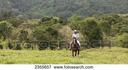 A Man Rides Horseback Through A Tree Filled Landscape; Zacapa, Guatemala View Large Photo Image Stock Photo - A Man Rides Horseback Through A Tree Filled Landscape; Zacapa, Guatemala. Fotosearch
