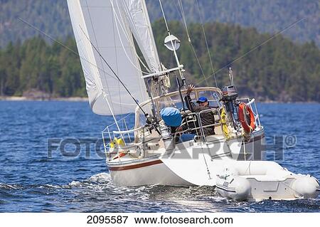 A Man Sails His Sailboat In Desolation Sound; British Columbia Canada View Large Photo Image Stock Photo - A Man Sails His Sailboat In Desolation Sound; British Columbia Canada. Fotosearch