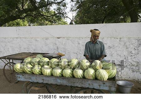 Stock Photograph - A man selling watermelons; Mahabalipuram, Tamil Nadu, India. Fotosearch