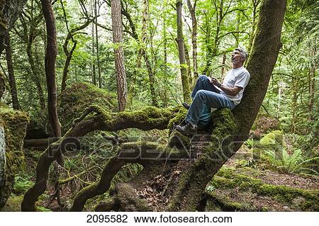 A Man Sits In A Tree And Draws Inspired By Nature In The Cowichan Valley On Vancouver Island; British Columbia Canada View Large Photo Image Stock Image - A Man Sits In A Tree And Draws Inspired By Nature In The Cowichan Valley On Vancouver Island; British Columbia Canada. Fotosearch