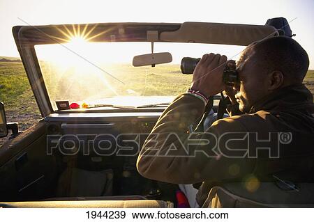 A Man Sits In A Vehicle Looking Through Binoculars At Sunset; Masai Mara Kenya View Large Photo Image Stock Photo - A Man Sits In A Vehicle Looking Through Binoculars At Sunset; Masai Mara Kenya. Fotosearch