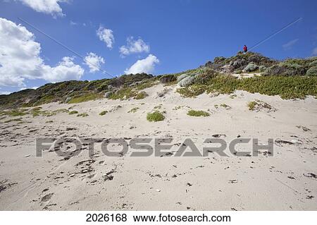 Stock Photo - A Man Stands On Top Of The Sand Dunes At The White Sand Beach; Cosy Corner Western Australia Australia. Fotosearch
