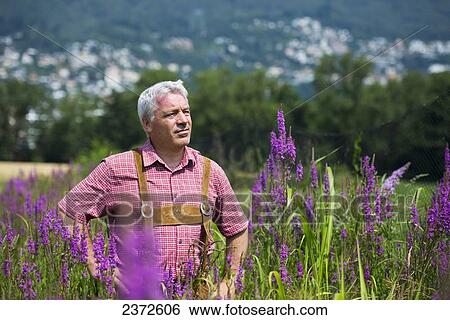 Stock Photograph - A Man Stands Proudly In A Field Of Blossoming Purple Flowers; Locarno, Ticino, Switzerland. Fotosearch