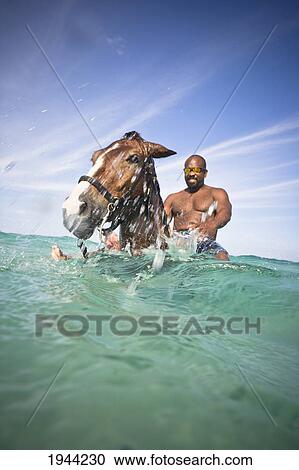 Stock Image - A Man Swims With A Horse In The Ocean; Runaway Bay Jamaica. Fotosearch