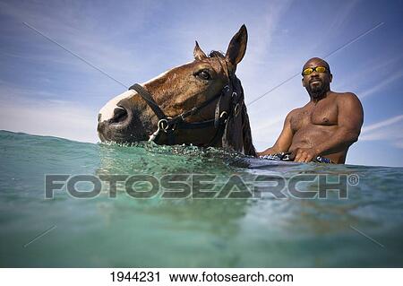 A Man Swims With A Horse In The Ocean; Runaway Bay Jamaica View Large Photo Image Stock Image - A Man Swims With A Horse In The Ocean; Runaway Bay Jamaica. Fotosearch