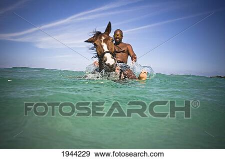 Stock Photo - A Man Swims With A Horse In The Ocean; Runaway Bay Jamaica. Fotosearch