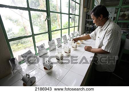 Stock Image - A man working at Glenburn Tea Estate; Darjeeling, Bengal, India. Fotosearch
