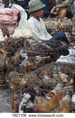Stock Photograph - A Market. Fotosearch