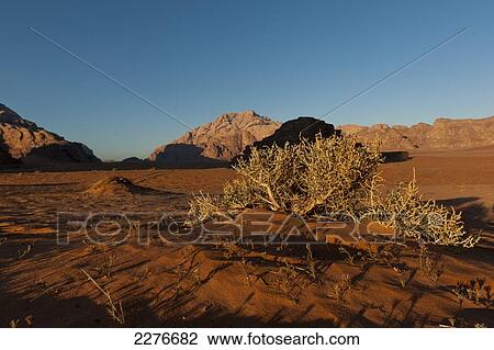 Stock Image - A maze of monolithic rockscapes rising up from the desert floor, Wadi Rum; Jordan. Fotosearch