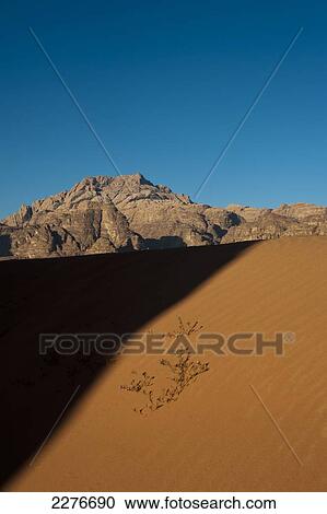 A maze of monolithic rockscapes rising up from the desert floor, Wadi Rum; Jordan View Large Photo Image Stock Image - A maze of monolithic rockscapes rising up from the desert floor, Wadi Rum; Jordan. Fotosearch