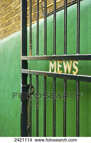 A metal gate open with the word mews in written in gold against a green wall; London, England View Large Photo Image Picture - A metal gate open with the word mews in written in gold against a green wall; London, England. Fotosearch