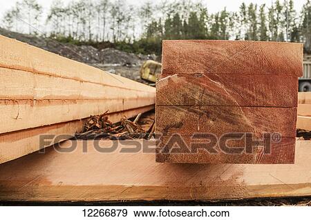 A neat stack of fresh lumber is shown on a front end profile revealing the raw grain of the log and texture in the lumber planks; Port McNeill, British Columbia, Canada View Large Photo Image Stock Photo - A neat stack of fresh lumber is shown on a front end profile revealing the raw grain of the log and texture in the lumber planks; Port McNeill, British Columbia, Canada. Fotosearch