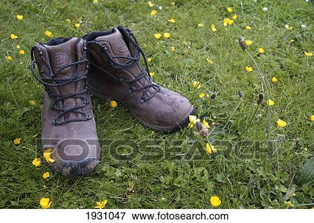 Stock Photo - A pair of Hiking Boots on green grass with yellow flowers., United Kingdom.. Fotosearch