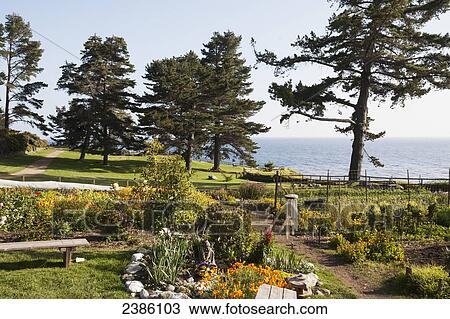A park with paths and gardens along the coast; California, United States of America View Large Photo Image Stock Image - A park with paths and gardens along the coast; California, United States of America. Fotosearch