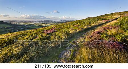 A Path Over A Hill With A View Of The Landscape In The Evening; Cleveland Way North Yorkshire England View Large Photo Image Stock Photography - A Path Over A Hill With A View Of The Landscape In The Evening; Cleveland Way North Yorkshire England. Fotosearch