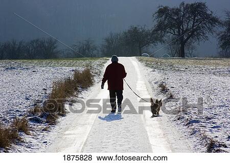 Stock Photo - A Person Walking A Dog In The Snow Down The Road In Winter; Hillscheid, Rheinland-Pfalz, Germany. Fotosearch