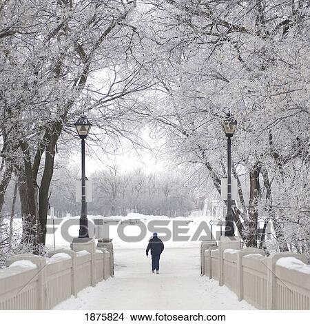 A Person Walking Down A Path In Winter; Winnipeg, Manitoba, Canada View Large Photo Image Picture - A Person Walking Down A Path In Winter; Winnipeg, Manitoba, Canada. Fotosearch