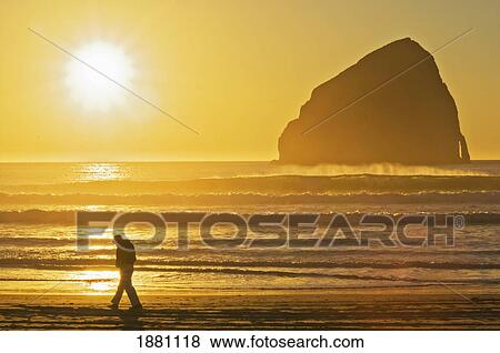 Stock Photo - A Person Walking On The Beach At Sunset With Haystack Rock In The Background; Pacific City, Oregon, United States Of America. Fotosearch