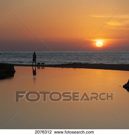 Stock Image - A Person Walking Two Dogs Along The Water's Edge At Sunset; Sayulita Mexico. Fotosearch