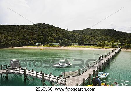 A Pier Across The Harbour With Boats Mooring; Urupukapuka Island, New Zealand View Large Photo Image Stock Photograph - A Pier Across The Harbour With Boats Mooring; Urupukapuka Island, New Zealand. Fotosearch