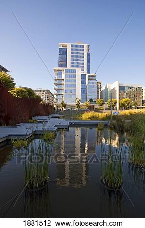 A Pond And Boardwalk In The Northwest Pearl District; Portland, Oregon, United States Of America View Large Photo Image Stock Image - A Pond And Boardwalk In The Northwest Pearl District; Portland, Oregon, United States Of America. Fotosearch
