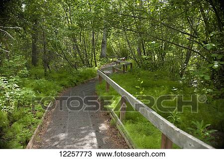 Stock Image - A portion of the Eco-Friendly path built to allow plants to grow under the path while providing river accessfor the anglers at the Russion River, Kenai Peninsula, Southcentral Alaska, Summer. Fotosearch