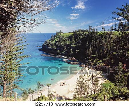 A pristine beach; Norfolk Island View Large Photo Image Stock Image - A pristine beach; Norfolk Island. Fotosearch