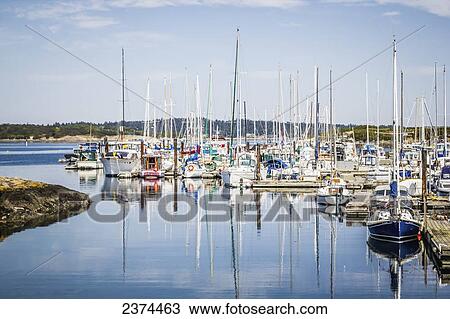 Stock Image - A recreation marina filled with yachts and sailboats; Victoria, British Columbia, Canada. Fotosearch
