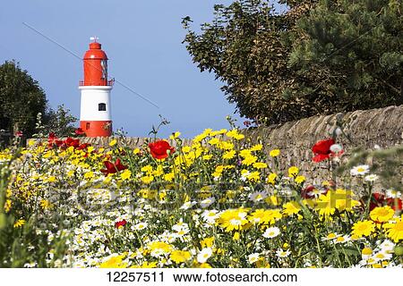 A red and white lighthouse and colourful blossoms in the foreground; South Shields, Tyne and Wear, England View Large Photo Image Stock Image - A red and white lighthouse and colourful blossoms in the foreground; South Shields, Tyne and Wear, England. Fotosearch