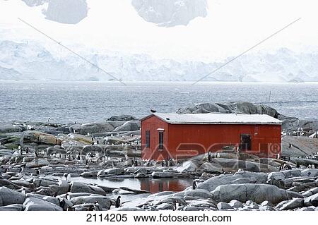 Stock Photography - A Red Building Surrounded By Penguins And A View Of The Coastline; Antarctica. Fotosearch
