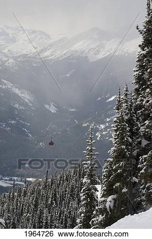 A Red Cable Car Riding Over The Snow Covered Forest; Whistler British Columbia Canada View Large Photo Image Stock Photograph - A Red Cable Car Riding Over The Snow Covered Forest; Whistler British Columbia Canada. Fotosearch