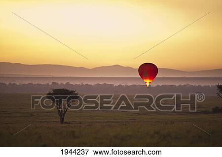 Stock Photo - A Red Hot Air Balloon Takes Flight Against The Glowing Sky At Sunset; Masai Mara Kenya. Fotosearch