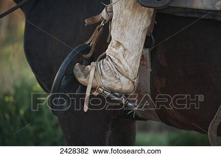 Stock Image - A riding boot with spur hooked into the strap of a saddle on a horse; Malargue, Argentina. Fotosearch