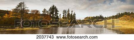 A River Lined With Trees In Autumn Colours; Northumberland England View Large Photo Image Stock Image - A River Lined With Trees In Autumn Colours; Northumberland England. Fotosearch