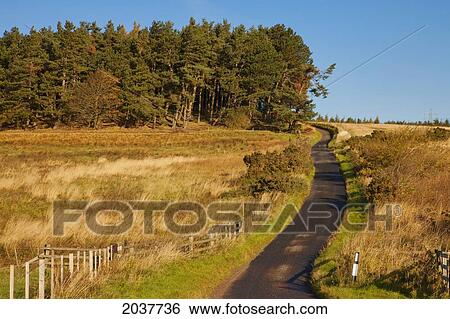 Stock Photograph - A Rural Road In Autumn; Northumberland England. Fotosearch