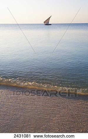 A sailboat in the distance on the tranquil water of the Indian Ocean; Vamizi Island, Mozambique View Large Photo Image Stock Image - A sailboat in the distance on the tranquil water of the Indian Ocean; Vamizi Island, Mozambique. Fotosearch