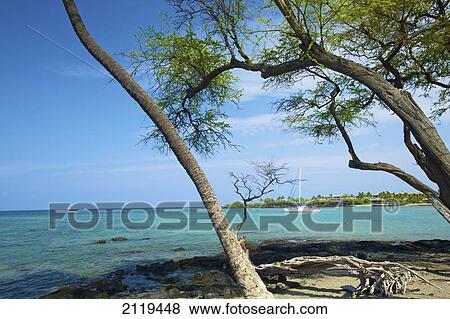 A sailing catamaran in a bay off the coast; Wailua, Hawaii, United States of America View Large Photo Image Stock Photo - A sailing catamaran in a bay off the coast; Wailua, Hawaii, United States of America. Fotosearch